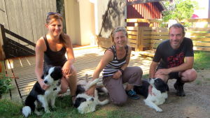 Hela gänget. Johanna Troberg, Hanna och Neil Holmes med hundarna Lily, Sussie och Panda. Hundar och mänskor