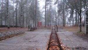 pyörätelineet koulun pihassa