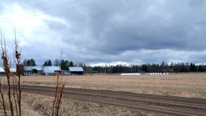 Ungefär vid ensilagebalarna vill JoHoFarm bygga sina minkhallar. östnyland, mickelspiltom
