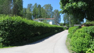 Björnen sågs på Kaunissaarivägen i Hammars, nära Borgå å. Kaunissaarivägen i Hammars, Borgå.
