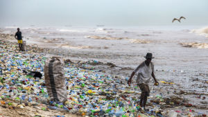 a Ghanaian collecting recyclable material at the polluted Korle Gono beach, that is covered in plastic bottles and other items washed ashore, following weeks of heavy flooding in Accra, Ghana 12 June 2016. The recyclable materials were washed from the cap