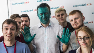 Oppositionsledaren Aleksej Navalnyj i sitt kampanjhögkvarter omgärdad av medarbetare. Navalnyj har målat sitt ansikte grönt som en pik mot angripare som slängde en grön vätska på honom nyilgen Oppositionsledaren Aleksej Navalnyj i sitt kampanjhögkvarter omgärdad av medarbetare. Navalnyj har målat sitt ansikte grönt som en pik mot angripare som slängde en grön vätska på honom nyilgen
