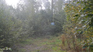 Så här såg parkeringen ut år 2014 innan några åtgärder hade gjorts. En parkering vid Svenvikens småbåtshamn i Ingå som har fått växa igen med sly.