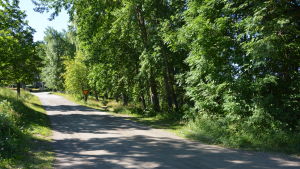 Det får inte vara en lång väg från hemmet till liknande grusvägar som man möts av vid sitt sommarställe. Parkeringsplatsen vid Bromarv hamn planeras nedanom Vättlaxvägen.