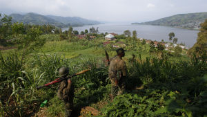 Ebolan i Kongo är den första epidemin som sprids i ett område där det pågår en aktiv konflikt. Regeringssoldater jagar nu medlemmar av rebellgruppen ADF som misstänks ha massakrerat 42 bybor nära staden Beni i provinsen norra Kivu