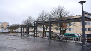 Det har reserverats ordentligt med rum för elevernas cyklar på skolgården. Cykelställning på Lyceiparkens skolas gård.