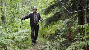 Gesterbybon Rolf Juselius har rört sig i skog och mark kring Hulubergsgrottan i hela sitt liv. Rolf Juselius i skogen söder om Juvas, Sibbo.