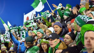 Trömpperit i full fart under bandyfinalen 2017 mot Veiterä. Akilles fick då silver. Vilda bandyanhängare hejar.