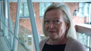 Konstfabrikens vd Susanne Dahlqvist vd:n för konstfabriken i borgå - susanne dahlqvist