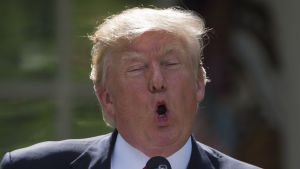 Donald Trump, president of the United States of Arrogance? Donald Trump pratar om utträdet ur klimatavtalet.