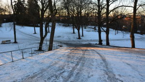 En del känner sig otrygga i stadens parker. vårdbergsparken, fastlaskiainen 2015,