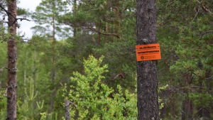 Numera är all skog skyddad. Bild på träd och en skylt där det står "miljöstödsavtal"