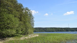 Enligt förslaget till detaljplan ska det finnas en plats för småbåtshamn i närheten av båtbyryggan som redan nu finns i Gumnäs. Gumnäs i Pojo