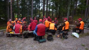 Jägare kunde göra mer för att reducera hjortdjursstammen, säger Jaenson. Bild på jaktlag.