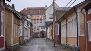 Råttor har blivit ett problem i trähusområdet Skata i Jakobstad. Vy över Norrmalmsgatan i Skata med gymnasiet i bakgrunden