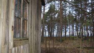 Byggnaderna ligger inne i skogen på udden som bland annat är ett viktigt område för flyttfåglarna. Tysk manskapsbarack på Tulludden på Hangö udd med utsikt mot norr.