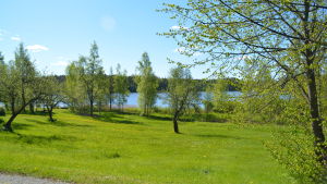 Sådan här utsikt över Kvarnträsket blir det från en del av villorna. Raasepori Resort ska byggas upp vid Kvarnträsket, några km söder om Karis centrum.