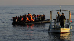 Flyktingar lotsas i land av grekiska fiskare. Flyktingar lotsas i land av grekiska fiskare.