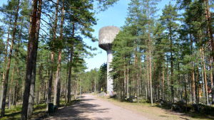 Så här såg Lovisa vattentorn ut innan det revs i december 2016. Aatos Åkerblom klättrade upp på vattentornets tak för att få bra bilder. Vattentorn och träd
