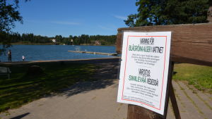 Läs alltid informationen om algläget om den finns upphängd. Varning för alger på Solliden camping i Pargas.