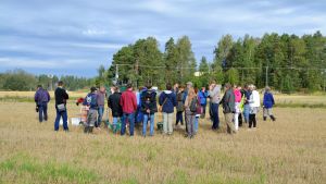 Också vattendrag i Lettland och Sverige är med i pilotprojektet. Sakkunniga från Finland, Sverige och Lettland följer med en demonstration på en åker intill Hardombäcken. Sakkuniga från Finland, Sverige och Lettland följer med en demonstration på en åker intill Hardombäcken.