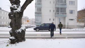 En vuxen människa blir lätt osynlig bakom det stora trädet till vänster i bilden. Två män går på övergångsstället på Alexandersgatan i Borgå. Till vänster en tjock, gammal trädstam.