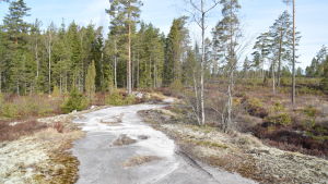 Skogsvägarna är stängda för trafik från mitten av april till midsommar så att fåglarna har lugn och ro under häckningstiden. Men om man är rullstolsburen så får man låna nyckel till låsen i grindarna så att man kan köra så nära som möjligt till en plats om man till exempel vill grilla eller ha picknick. En vandringsled i Västerby friluftsomårde som går över ett berg.
