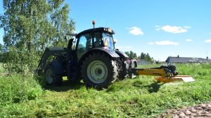 Man röjde ner det vildvuxna området bredvid åstranden. Här ska det bli en park med allehanda rekreationsmöjligheter. Traktor röjer ner gräset vid åstranden i Sjundeå
