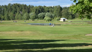 Golfen ligger hela tiden starkt i fokus. En grön golfbana i Sjundeå som heter Pickala golf.