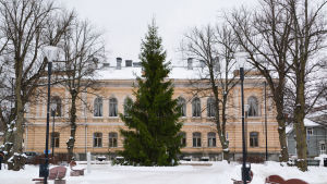 Julgran framför stadshuset i Borgå under vintern