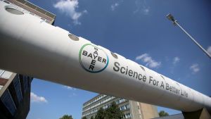 Bland annat utomhusanvändningen av vissa av Bayers bekämpningsmedel förbjuds. Företaget Bayer AG:s logga vid deras huvudkvarter i Leverkusen.