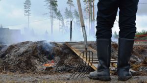 Det hör till att man använder äldre redskap vid tjärdalen. Tjärdalen i Övermark.