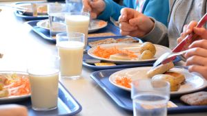På torsdagen bjöds det på fiskbiff, potatis och sås i Gammelbacka skola. Skolmat.