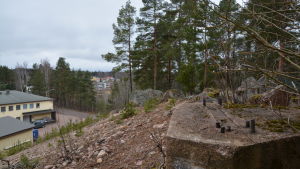 Gränsen mellan det vackra och det mindre vackra. Gränsen mellan skogen och industriområde. Skog och sand.