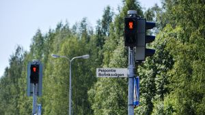 Enligt Kulju visar trafikljusen för ofta röd gubbe. Trafikljus som visar röd gubbe.