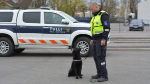 Tullen i Åbo använder sig av bland annat genomlysningsapparater och hundar för att hitta förbjudet gods. Snushunden Onni och hans förare Matti Koskela.