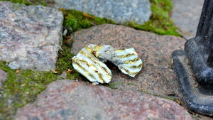 Bland annat godispapper finns det gott om på gatorna. Godispapper på marken.