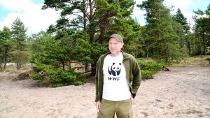 Panu Kunttu är skyddsexpert på WWF och en av dem som leder lägret. Han jobbar bland annat med skogspolitik. Panu Kunttu från WWF var p plats i Furuvik på talkoläger.