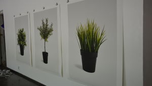 David Muths konstverk "Ikea plants (artificial) series. David Muths konstverk "Ikea plants (artificial) series". En trio av bilder på IKEAs plastblommor