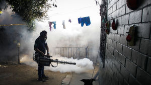 En man besprutade en gård i Brasilien för att döda myggor. Anställd vid El Salvadors hälsoministerium sysselsatt med myggbekämpning.