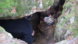 Bengt Wahlroos kravlar sig in i tunneln. Bengt Wahlroos klättrar in i Bombergsgrottan.