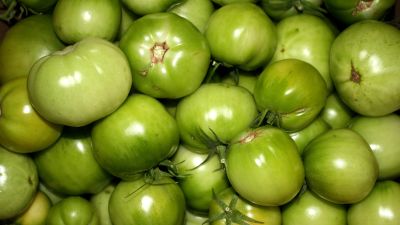 Tomat Varldens Popularaste Frukt Stromso Svenska Yle Fi