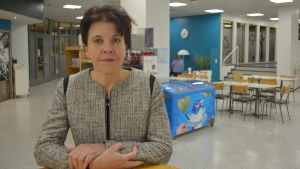 Teija Tiilikainen från Utrikespolitiska institutet säger att den gamla hotbilden om krig i Europa har kommit tillbaka. Teija Tiilikainen, chef för Utrikespolitiska institutet