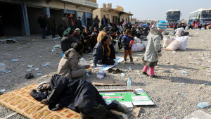 Flyktingar från östra Mosul väntar på transport till flyktingläger 27.11.2017 Flyktingar från östra Mosul väntar på transport till flyktingläger 27.11.2017