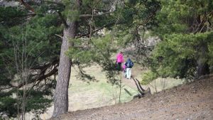 Borgåbor rör sig gärna på och kring Borgbacken. Utsikten är hisnande och kullarna utmanande att klättra upp på. människor på promenad