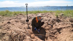 Tuija Mikkonen från Helsingfors är en av talkoarbetarna på det en vecka långa lägret. Tuija Mikkonen är en av talkoarbetarna på WWF:s läger i Furuvik i Hangö.