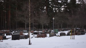 Det finns flera tusen gravar på begravningsplatsen i Ekenäs. Ekenäs nya begravningsplats