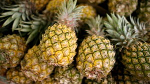 Förutom tonfiskpackningsfabriker har också ananaspackningsfabriker och fabriker som tillverkar gummihandskar i Thailand prickats av Finnwatch. Alla produkter finns det rikligt av på den finska marknaden. ananas