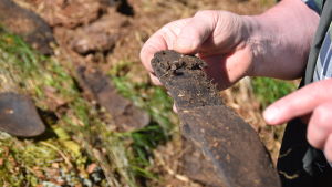 Berndt Gottberg visar upp en gammal skosula med spik som har hittats nedgrävd i Svenviken i Ingå
