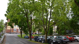 Kuppis sjukhus på närmare håll. Psykiatriska sjukhuset vid Åbo stadssjukhus